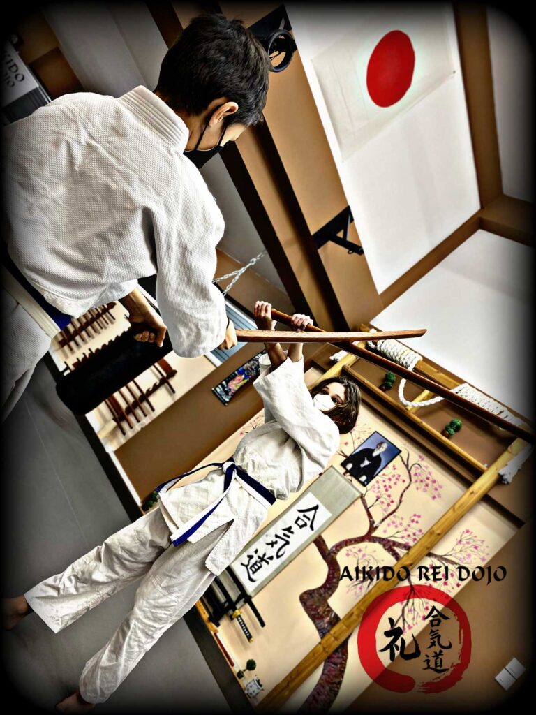 aikido_kids_gallery01