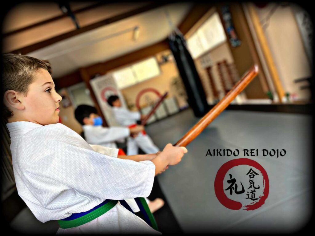 aikido_kids_gallery06